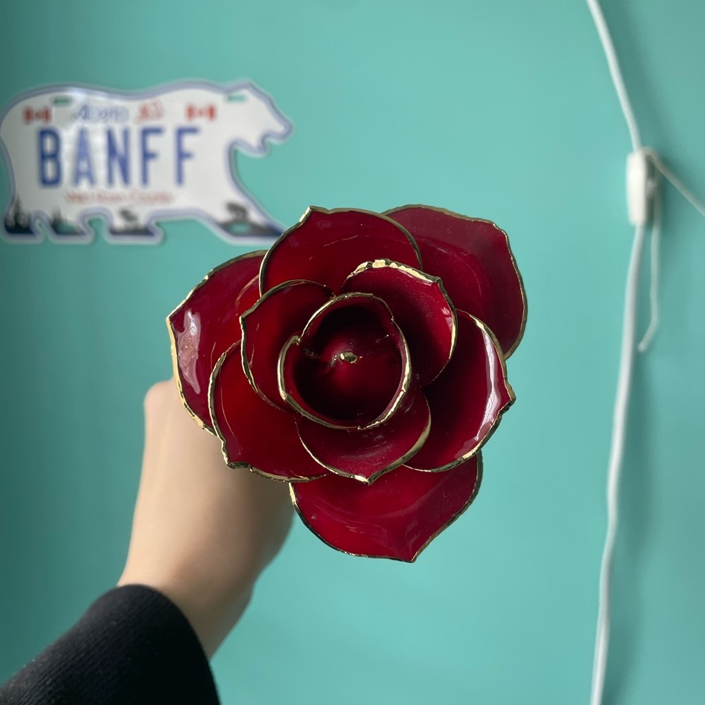 Red Rose with Gold Trim